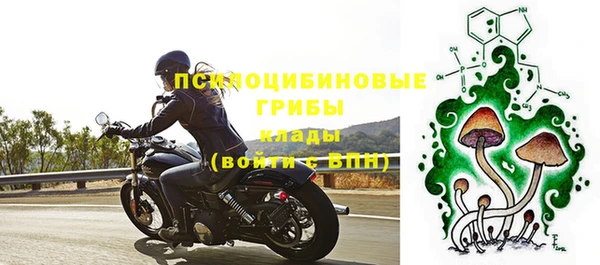 дживик Ростов